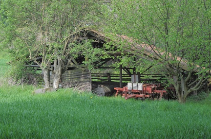 Ein Schuppen im Grünen