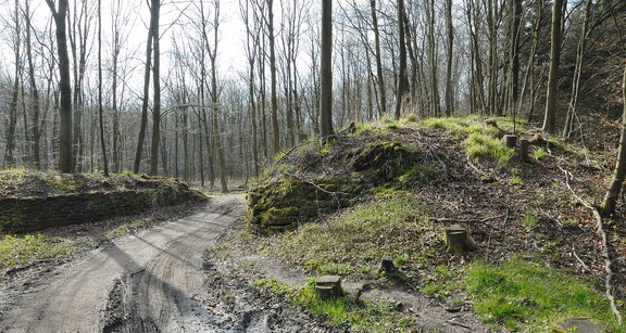 Die Heisterburg auf dem Deisterkamm