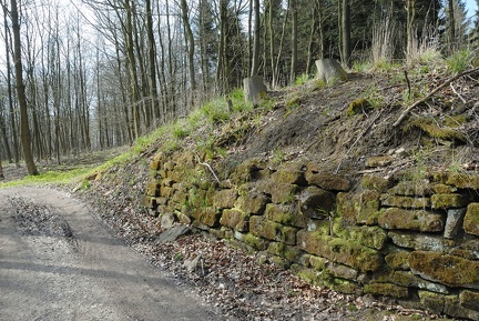 Die Heisterburg auf dem Deisterkamm
