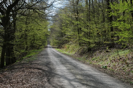 Deister im Frühling