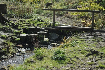 Gefasste Quelle des Spalterhalsbaches