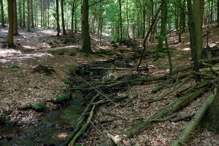 Wassergewinnungsgebiet unterm Spalterhals