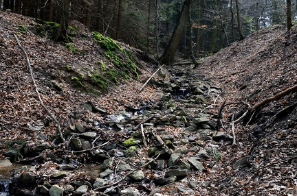 Oberlauf des Bullerbachs
