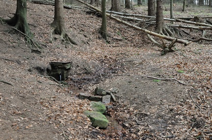 Quelle eines Bullerbach-Zuflusses