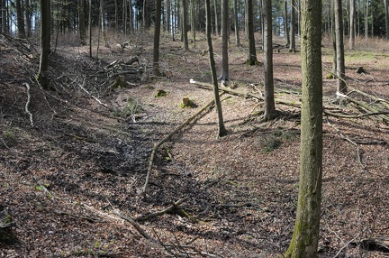 Eine "Quelle" des Bullerbachs