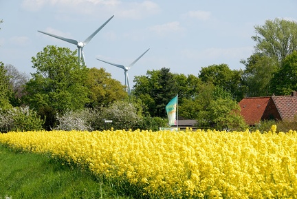 Nordost-Eckerde