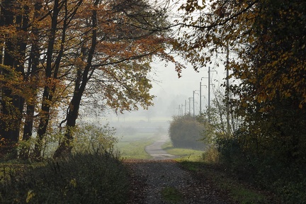 Feldweg bei Landringhausen
