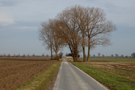 Feldweg am alten Zollhaus, Blickrichtung Ost