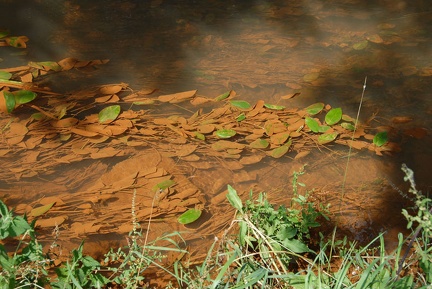 Der Bullerbach bei Großgoltern.