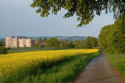 Der Weg vom Beerbeekenplatz in Richtung Egestorf