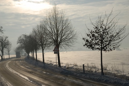 Winter in der Feldmark