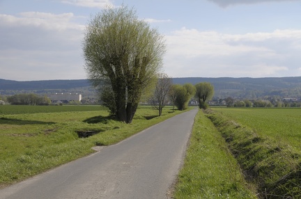 Frühling in der Feldmark
