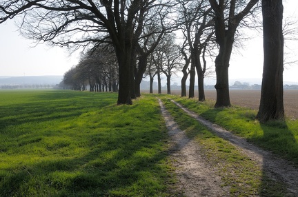 Allee nach Wichtringhausen