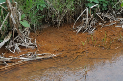 Eisenoxide im Bullerbach