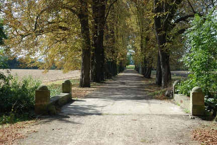 Rittergut v.Alten, Allee nach Westen
