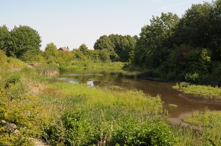 Ausgleichsweiher beim Schulzentrum am Spalterhals