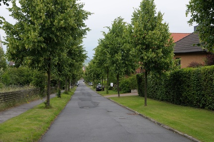 Schützenstraße, eine Allee von Linden