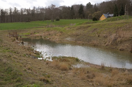 Neuer Biotop Zum Rehpfad hin