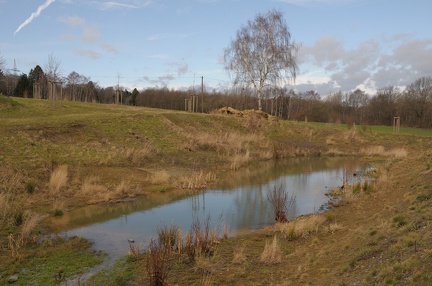 Neuer Biotop Zum Rehpfad hin