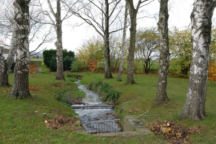 Garten in der Landstraße