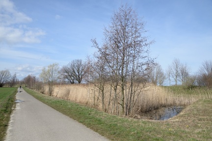 Feuchtbiotop an der Calenberger Straße