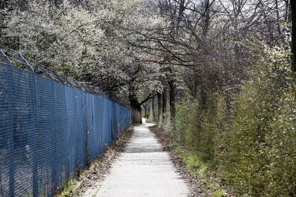 Radweg zwischen Goltern und Barsinghausen